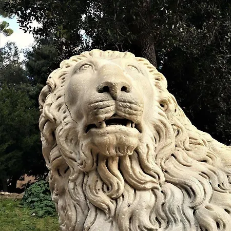 Domus Bocca Di Leone